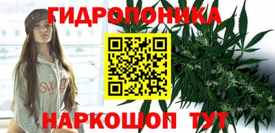 дмт Будённовск